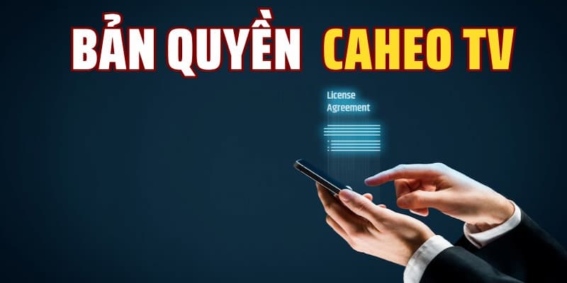 Tại sao Caheotv quyết định mua bản quyền trực tiếp bóng đá?