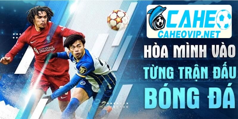 Vài nét về trang trực tiếp bóng đá Cá Heo TV